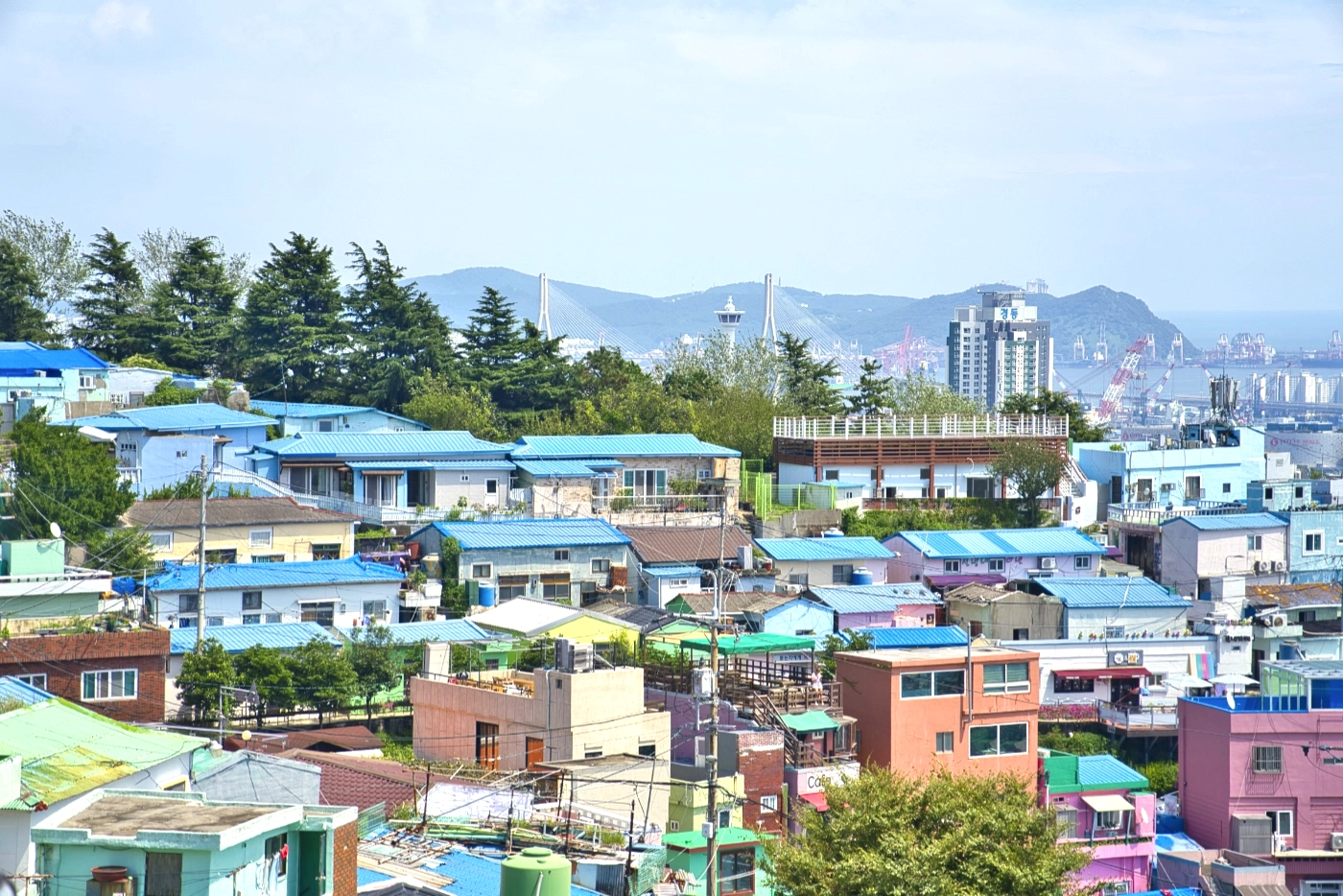 감천마을꽃차문화원사진